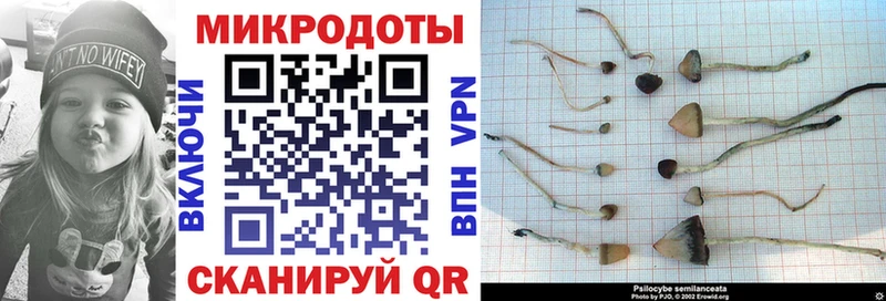 Псилоцибиновые грибы прущие грибы  наркота  Чаплыгин 
